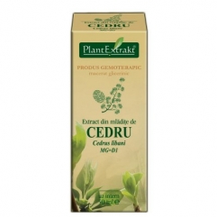 Extract din mladite de CEDRU - Cedrus libani 50 ml